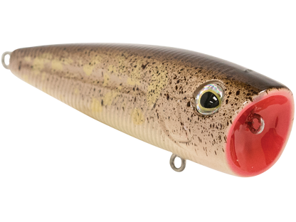 Livingston Lures WALK N POP 77 (EBS MultiTouch)