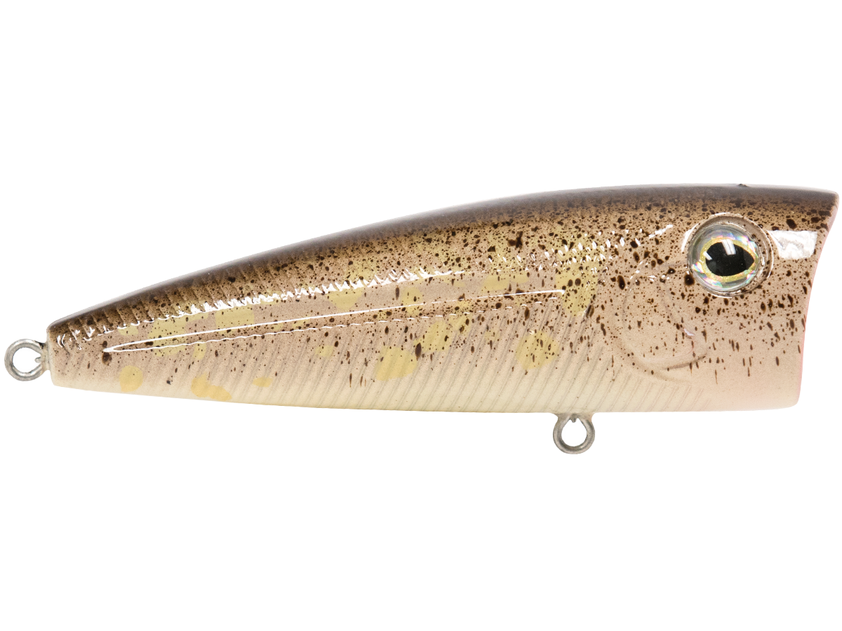 Livingston Lures WALK N POP 77 (EBS MultiTouch)