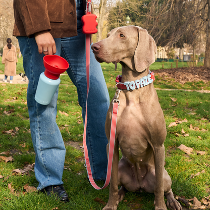 Springland Pets 20oz Flip Dog Travel Water Bottle