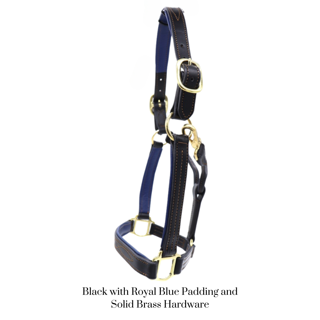 Remarkable Leather Goods GHC Padded Halter