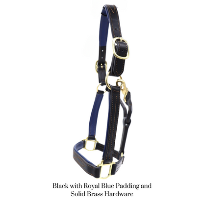 Remarkable Leather Goods GHC Padded Halter