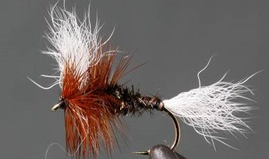 Stone Creek H & L Variant