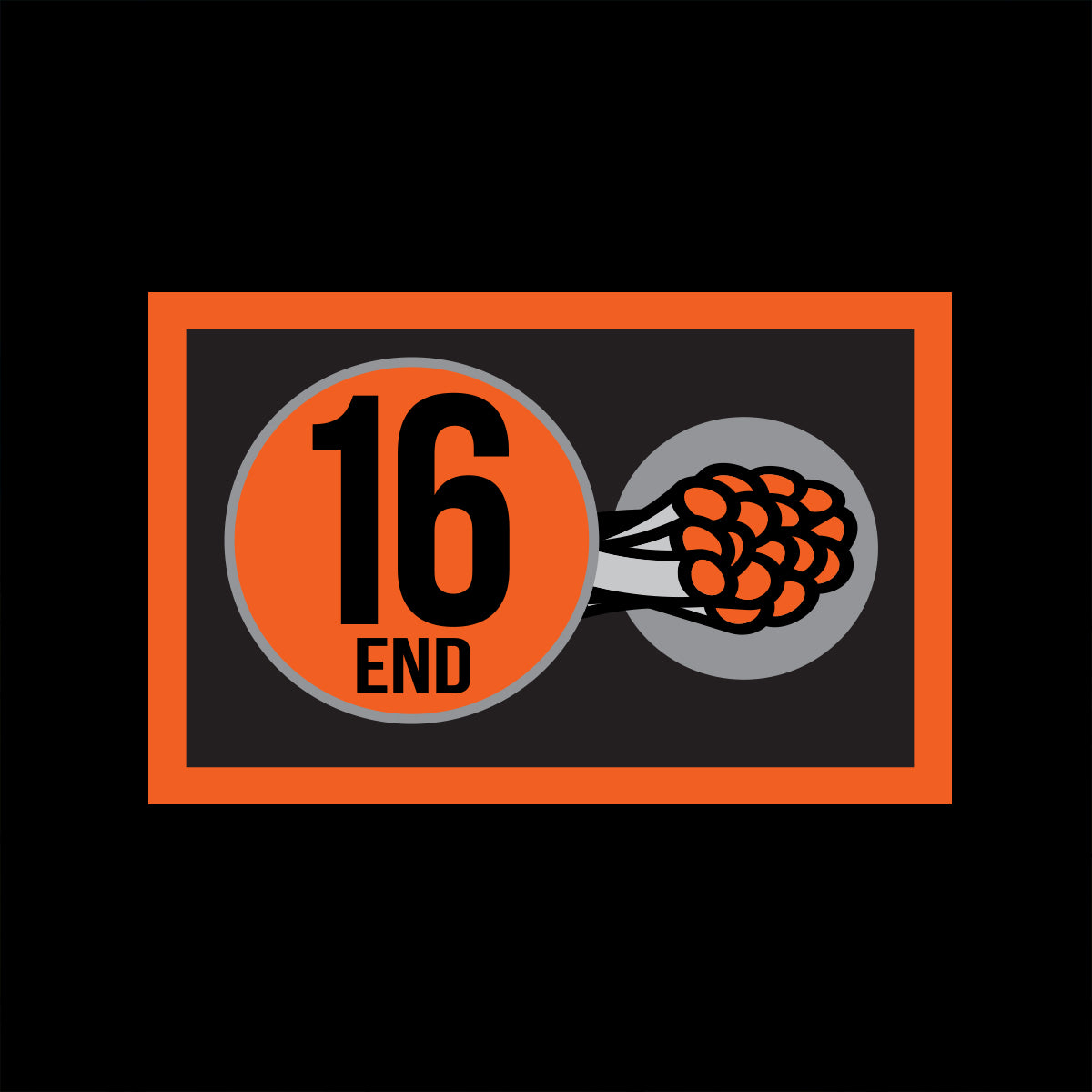 FINS Fishing Hollow Core Fishing Braid 130-300lb