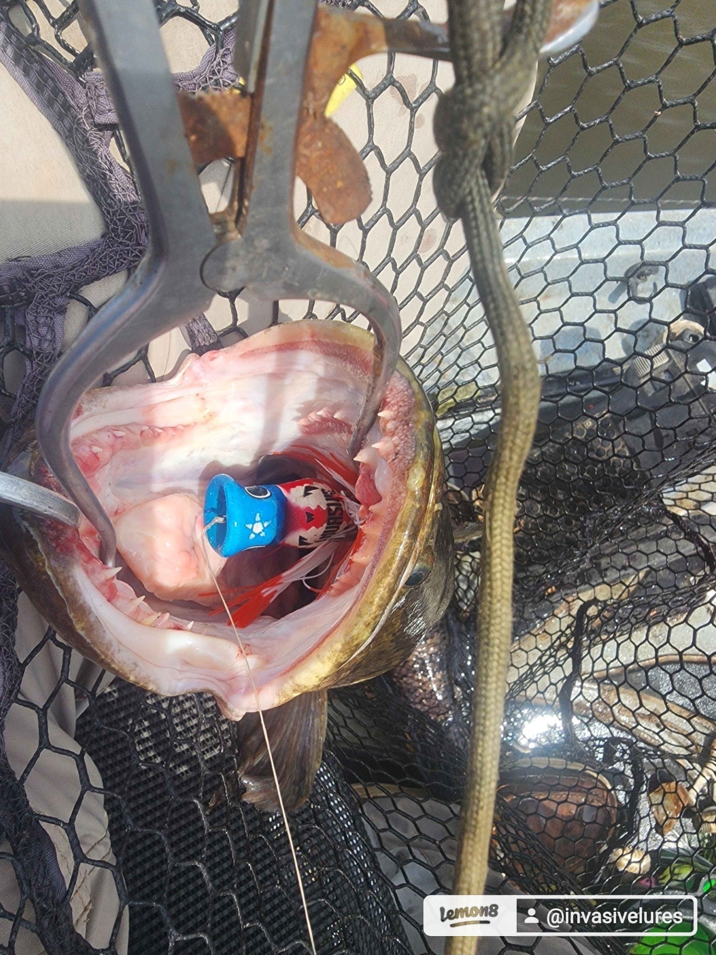 Invasive Lures CHUGGERKNOT
