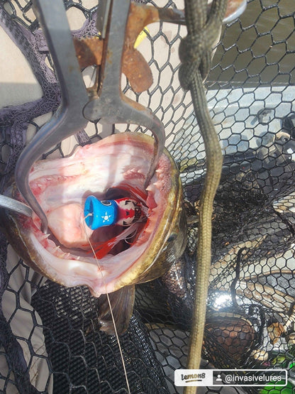 Invasive Lures CHUGGERKNOT