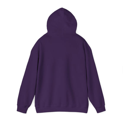 Texas Rigged Tees My Energy Level — Unisex Hooded Sweatshirt