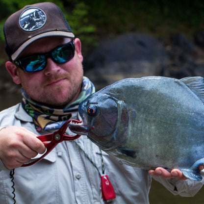 Rising Fishing Big Nippa