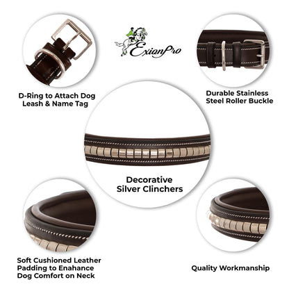 Bridles & Reins ExionPro Silver Clincher Padded Leather Dog Collar - Brown Padding