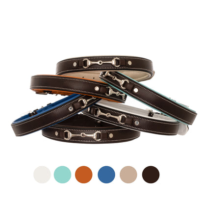 Bridles & Reins ExionPro Silver Snaffle Padded Leather Dog Collar - Blue Padding