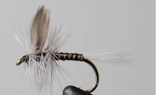 Stone Creek Blue Quill