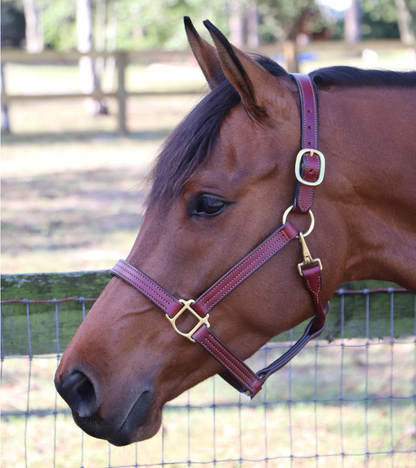 Remarkable Leather Goods GHC Triple Stitch Halter