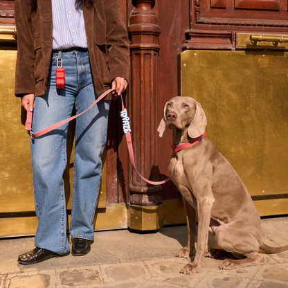 Springland Pets Waterproof Dog Leash - 5ft