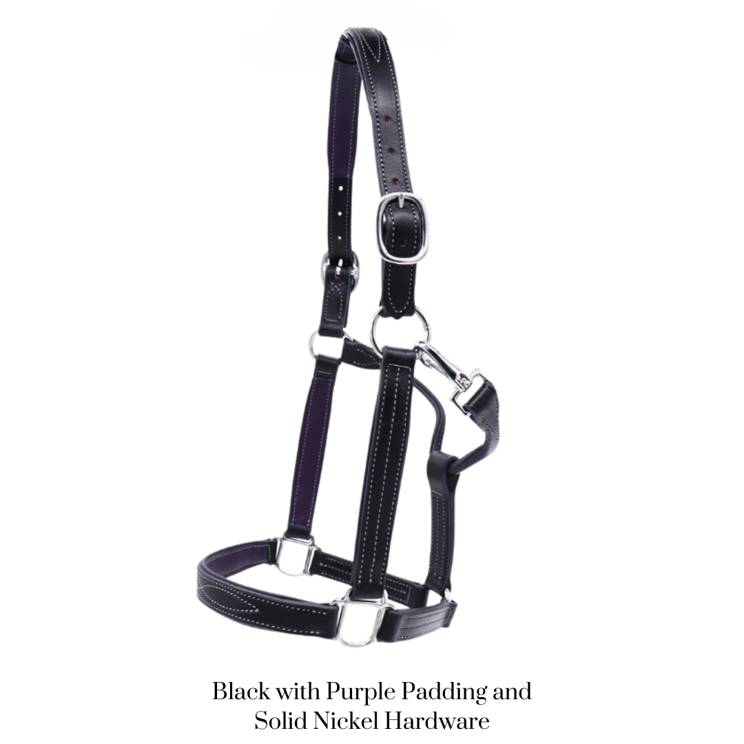 Remarkable Leather Goods GHC Padded Halter