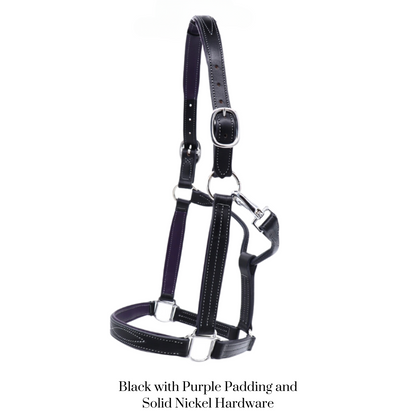 Remarkable Leather Goods GHC Padded Halter
