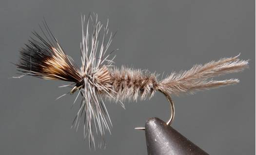 Stone Creek Callibaetis - Cripple