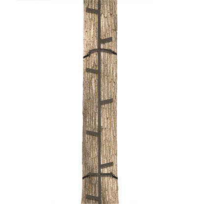 Big Game Hunting Quick Stick Steel Ladder Tree Climbing System, 20 Foot (2 Pack)