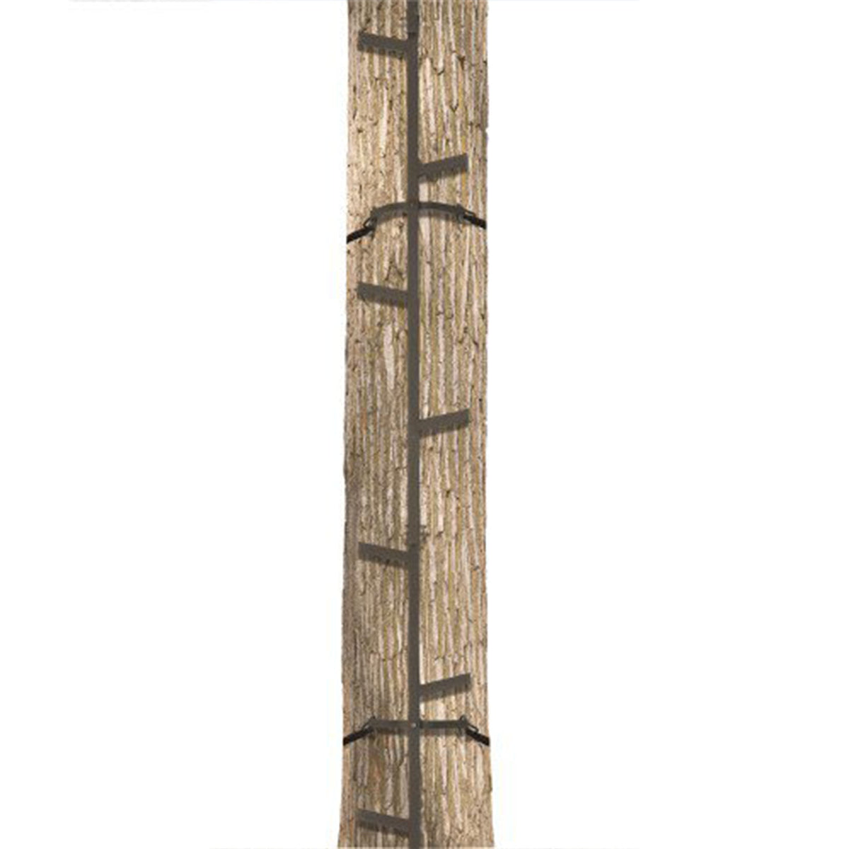 Big Game Hunting Quick Stick Steel Ladder Tree Climbing System, 20 Foot (2 Pack)