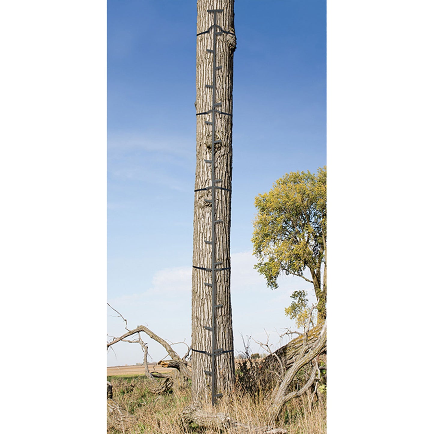 Big Game Quick Stick Climbing Sticks, Tree Climbing Hunting Gear for Deer Stands