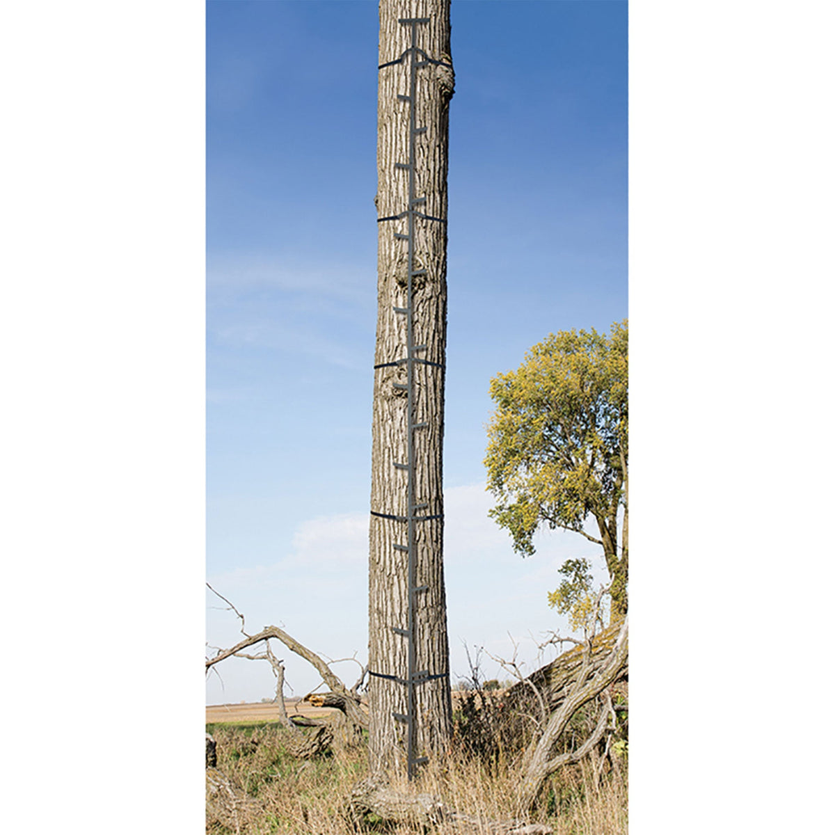 Big Game Quick Stick Climbing Sticks, Tree Climbing Hunting Gear for Deer Stands