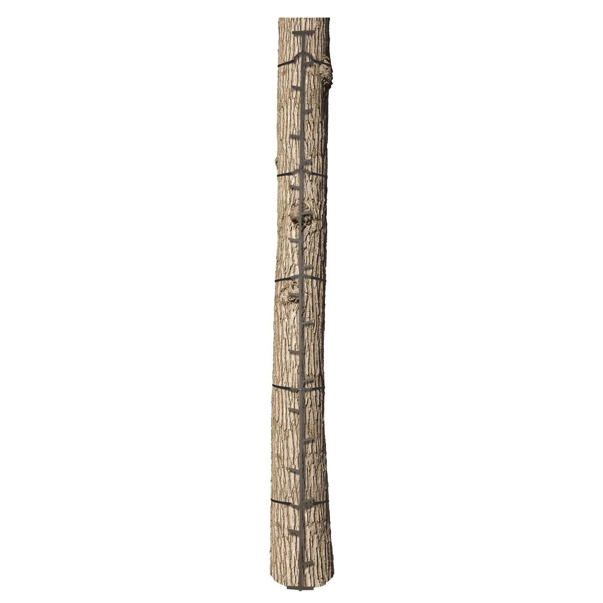 Big Game Hunting Quick Stick Steel Ladder Tree Climbing System, 20 Foot (2 Pack)