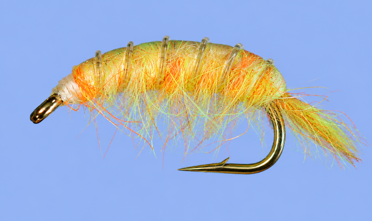 Stone Creek Molting Scuds