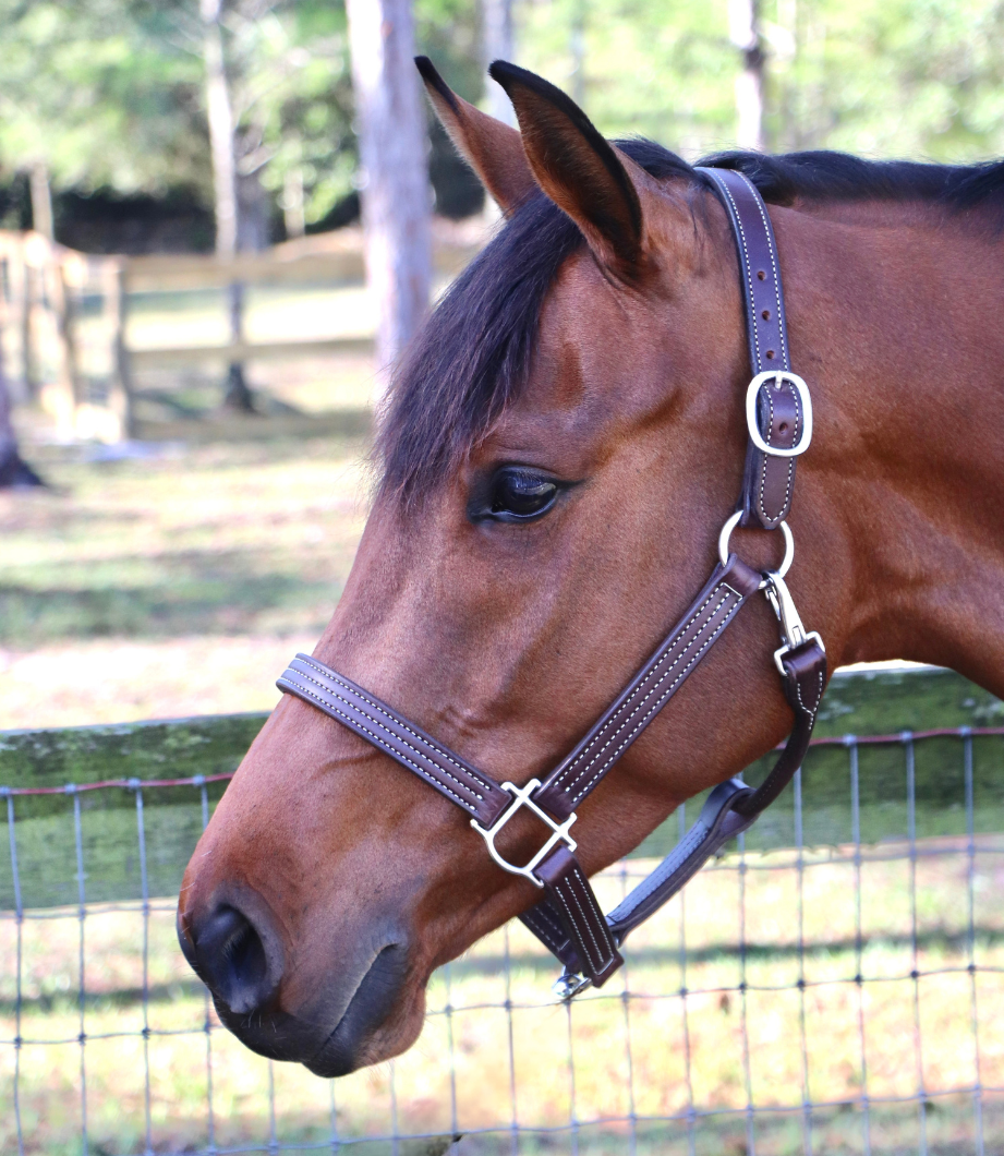 Remarkable Leather Goods GHC Triple Stitch Halter