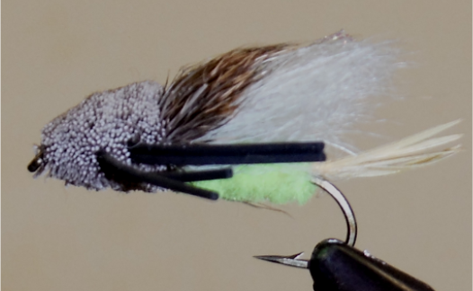 Stone Creek Tarantulas