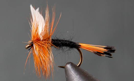 Stone Creek Rio Grand King