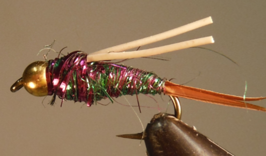 Stone Creek BH Blue Rainbow Prince