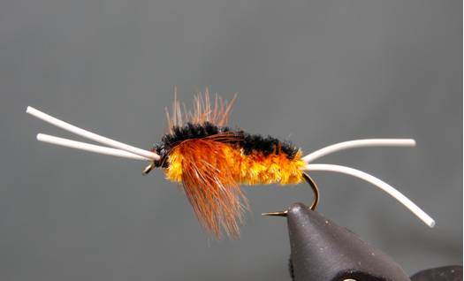 Stone Creek Bitch Creek Stonefly Nymph