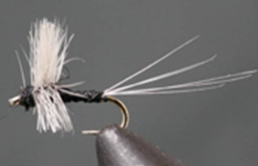 Stone Creek Trico Thorax