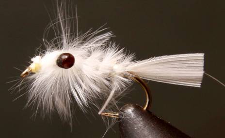 Stone Creek Mysis Shrimp