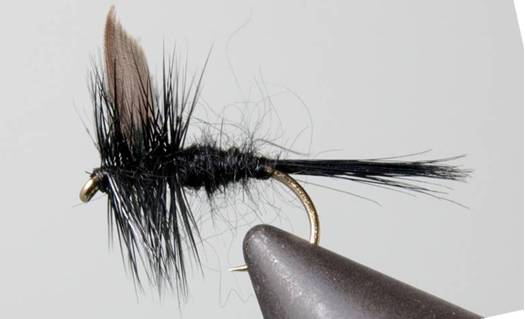 Stone Creek Black Gnat - Black Tail or Red Tail