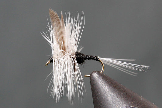 Stone Creek Trico