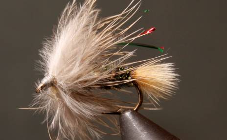 Stone Creek Prince - Sparkle (Soft Hackle)