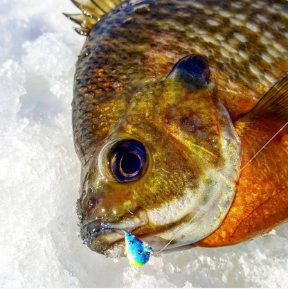 Kenders - Rainbow Trout Bright UV Tungsten Jig