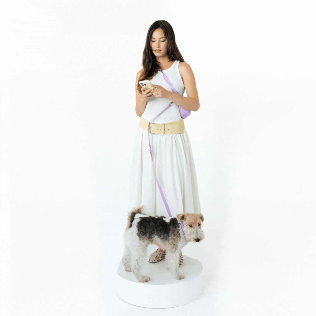 Springland Pets Hands-Free Dog Walking Bag with 4ft Leash