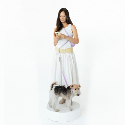 Springland Pets Hands-Free Dog Walking Bag with 4ft Leash