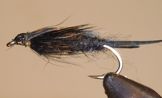 Stone Creek Giant Stonefly Nymphs