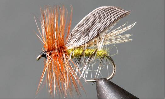 Stone Creek Henryville Caddis