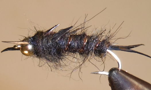 Stone Creek BH Giant Stonefly Nymphs