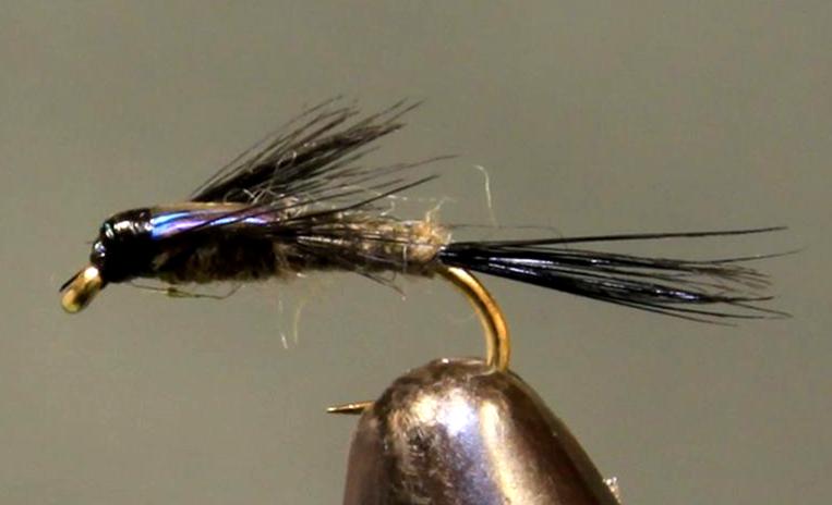 Stone Creek Purple Back Baetis
