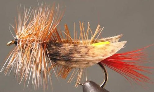 Stone Creek Joe’s Foam Hopper