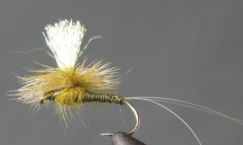 Stone Creek Parachute Crystal Drake - Olive