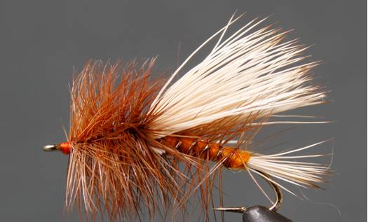 Stone Creek Improved Sofa Pillow