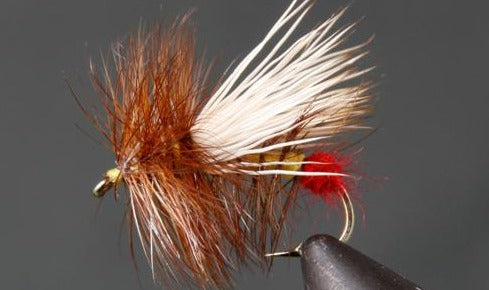 Stone Creek Little Yellow Sally