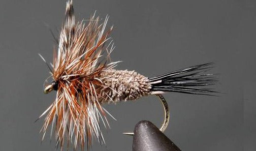 Stone Creek Irresistible - 2 Styles