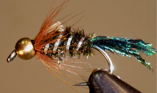 Stone Creek BH Zug Bug