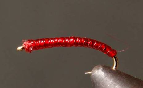 Stone Creek Rock Worm / Annelid - Red or Purple