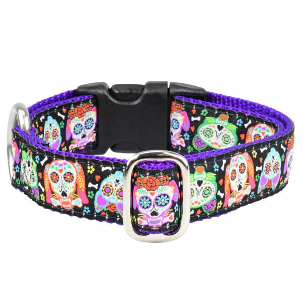 2 Hounds Design 1″ XOLO – Sugar Skull Essential Buckle Martingale Dog Collar - Angler's Pro Tackle & Outdoors